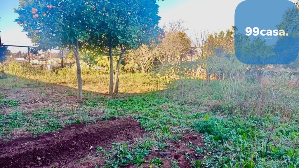 Terreno à venda, 365 m  por R  430.000,00 - Capela Velha - Ara...