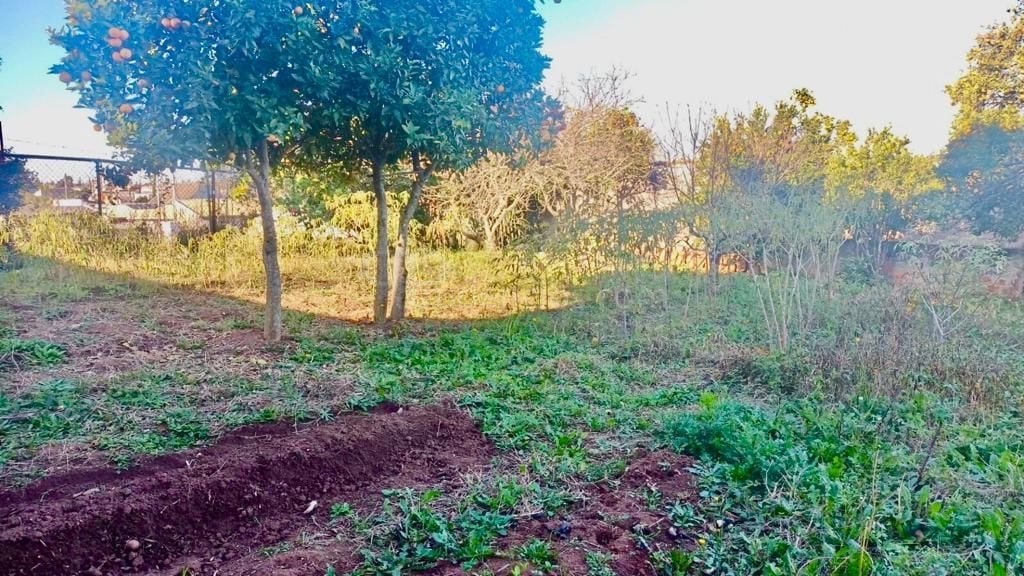 Terreno Espaçoso em Localização Privilegiada  Perfeito para Co...