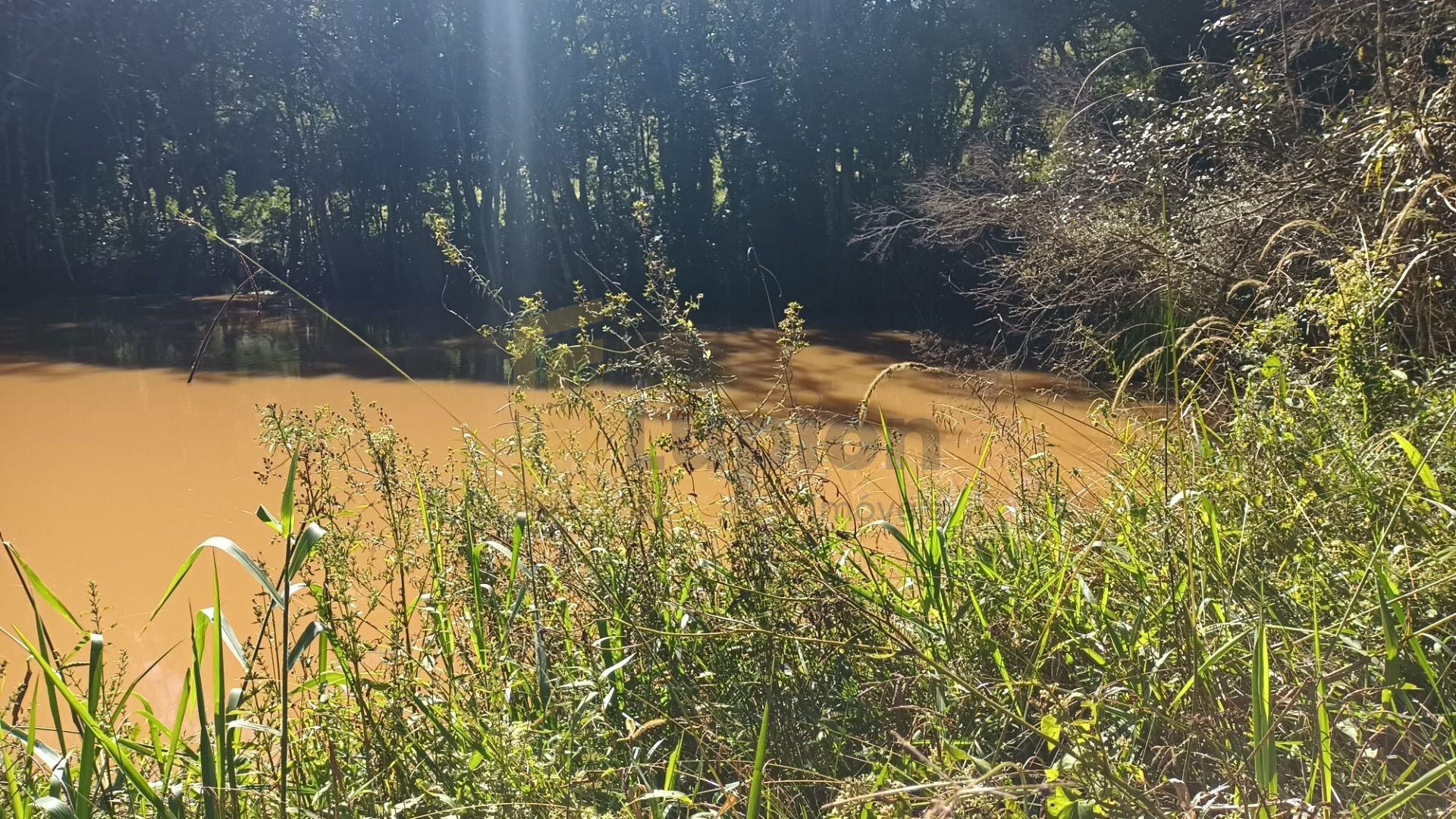 Chácara dos Sonhos em Araucária  24.300m  de Natureza e Tranqu...