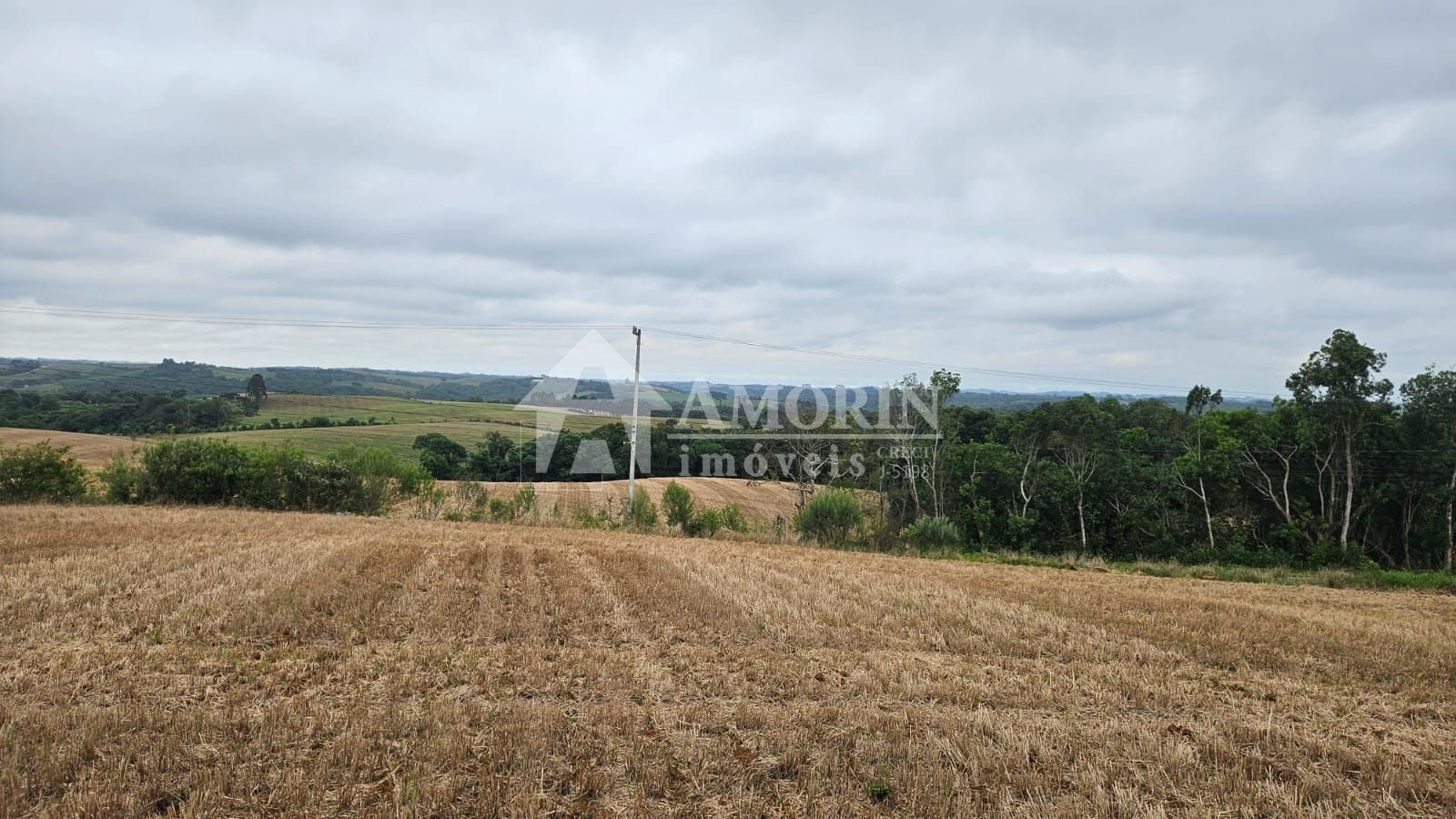 Terreno à venda, 84700 m² por R$ 3.500.000,00 - Guajuvira - Ar...