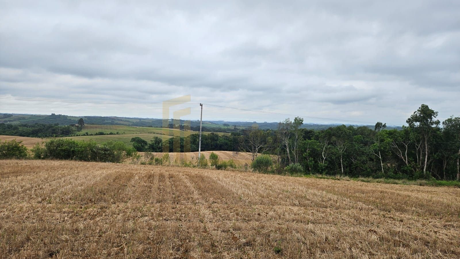 Terreno à venda, 84700 m² por R$ 3.500.000,00 - Guajuvira - Ar...