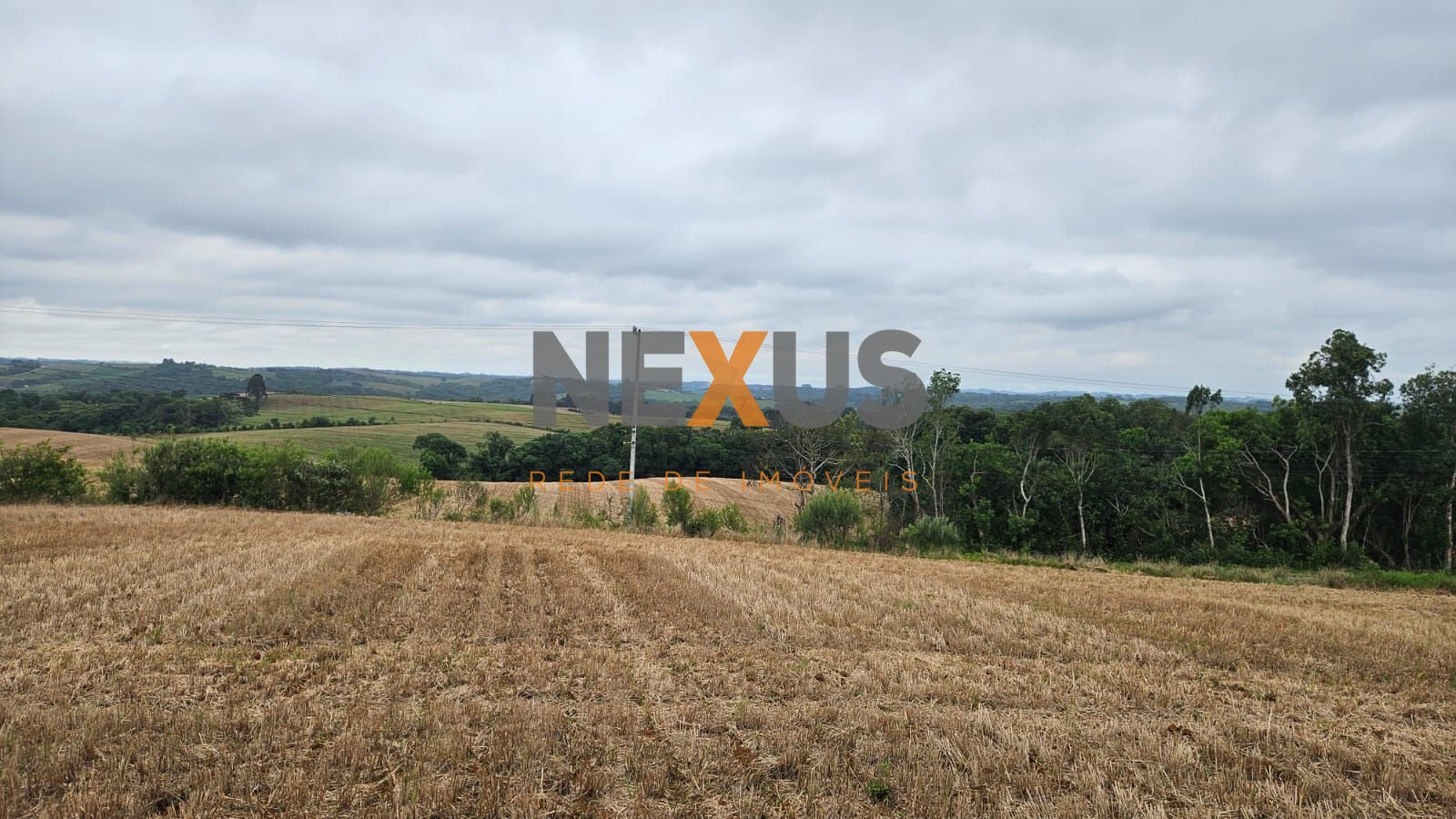 Terreno à venda, 84700 m² por R$ 3.500.000,00 - Guajuvira - Ar...