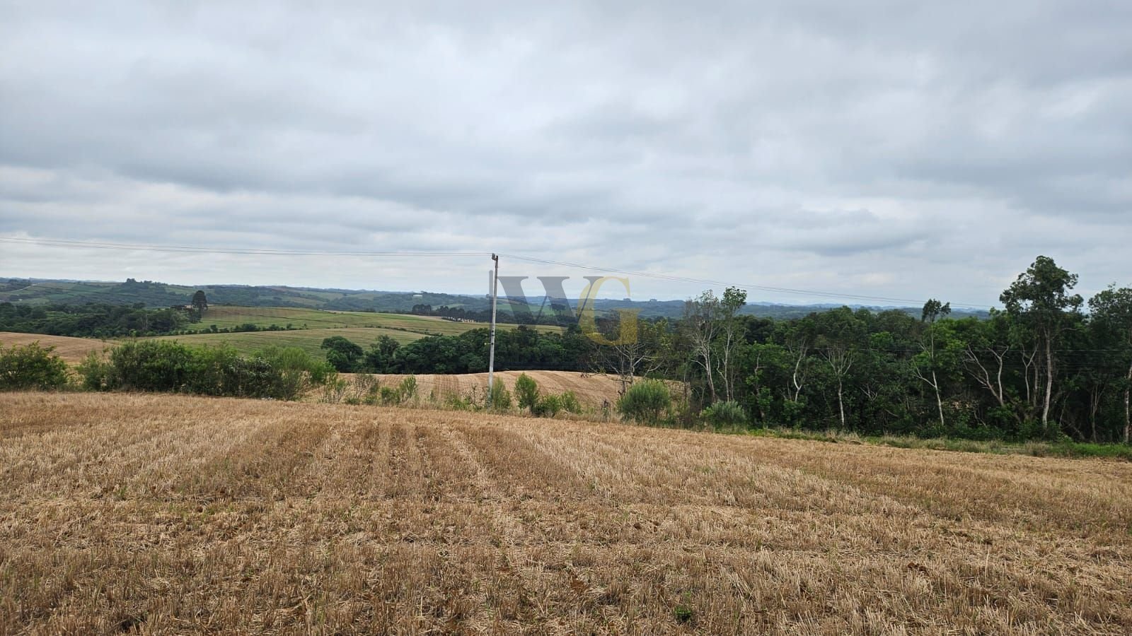 Terreno à venda, 84700 m² por R$ 3.500.000,00 - Guajuvira - Ar...