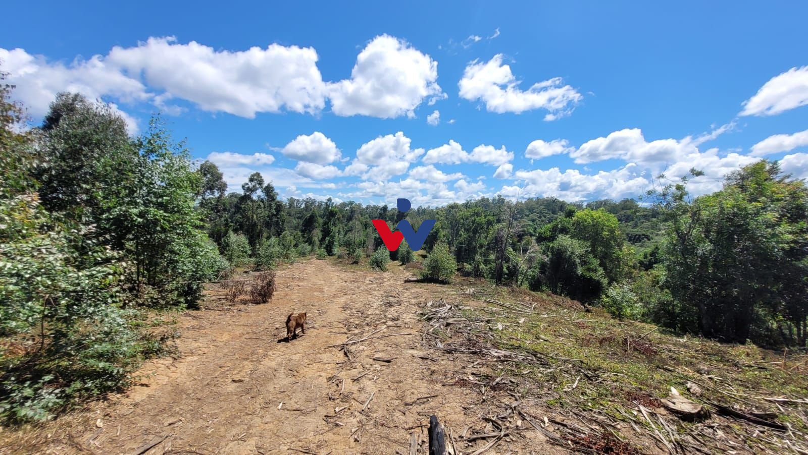 Chácara à venda,63000.00 m , imbuial, CAMPINA GRANDE DO SUL - PR
