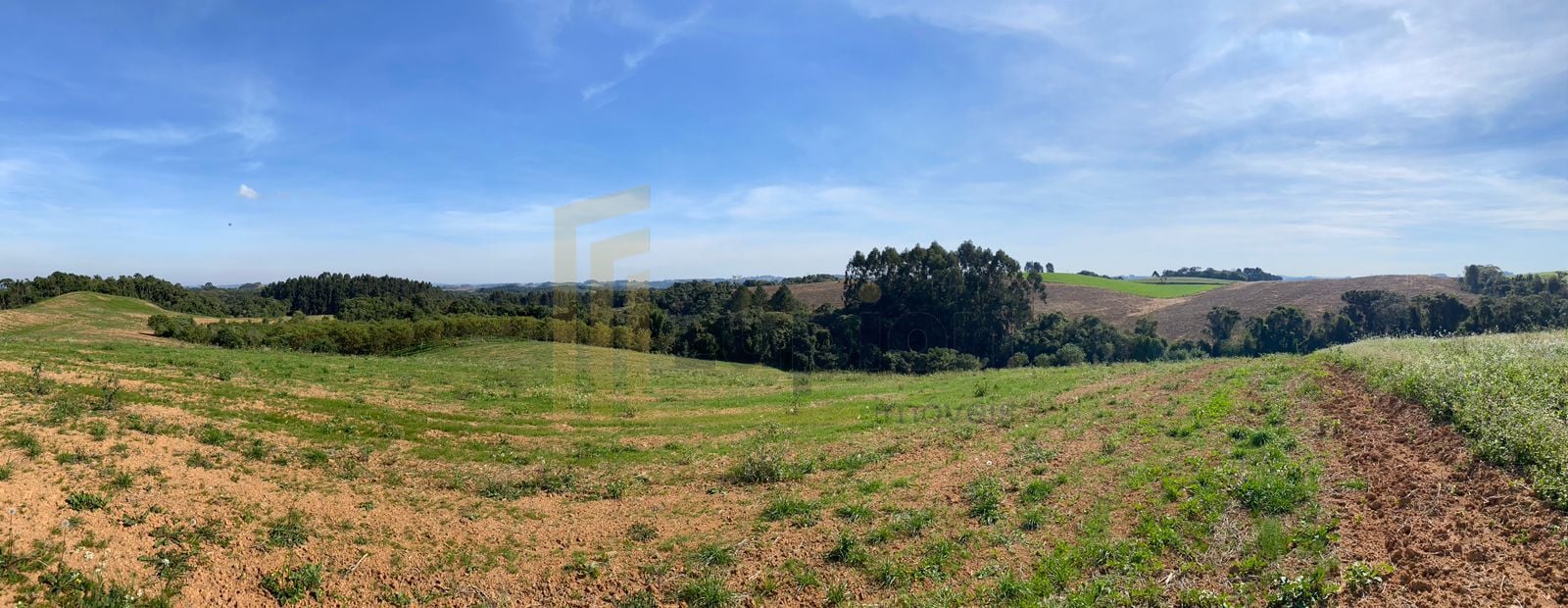 Propriedade Sustentável de 2 Alqueires com Noz Pecan, Araucári...