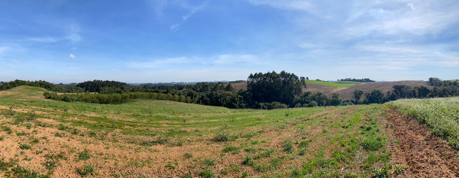 Propriedade Sustentável de 2 Alqueires com Noz Pecan, Araucári...