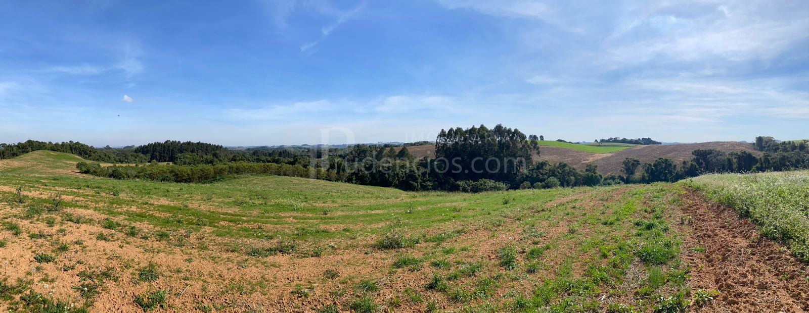 Propriedade Sustentável de 2 Alqueires com Noz Pecan, Araucári...