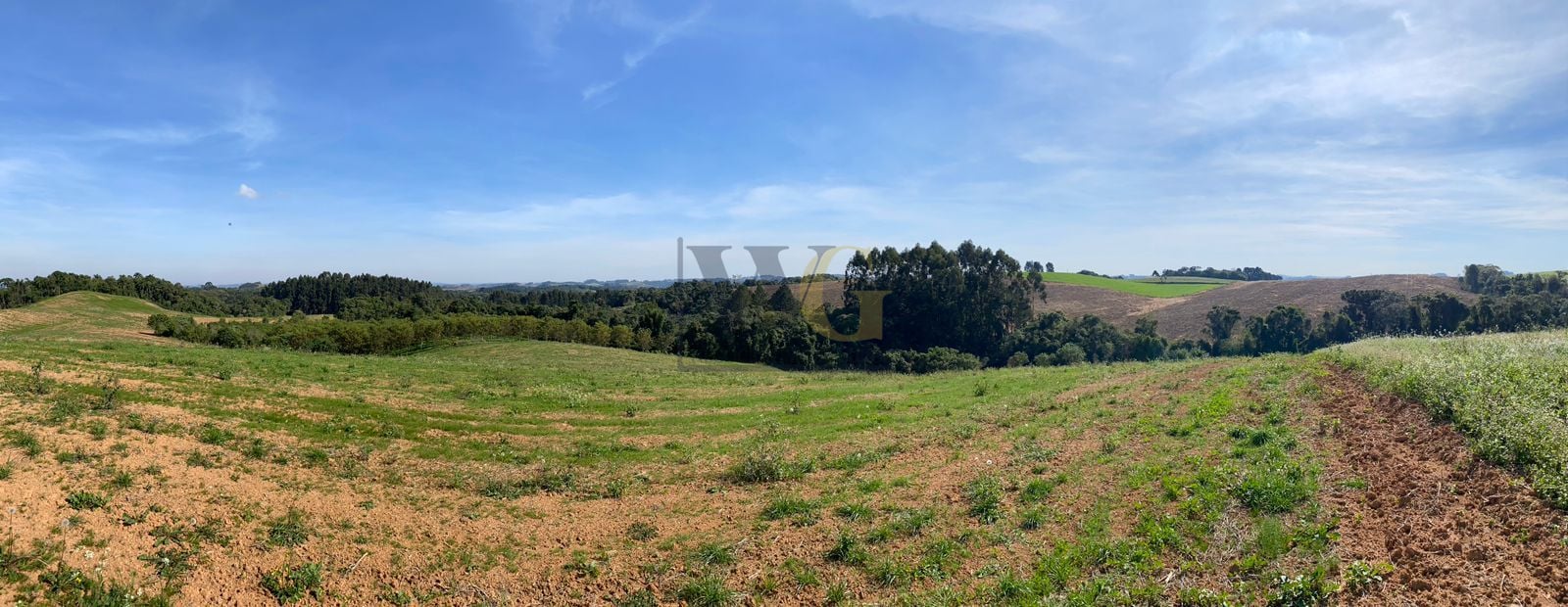 Propriedade Sustentável de 2 Alqueires com Noz Pecan, Araucári...
