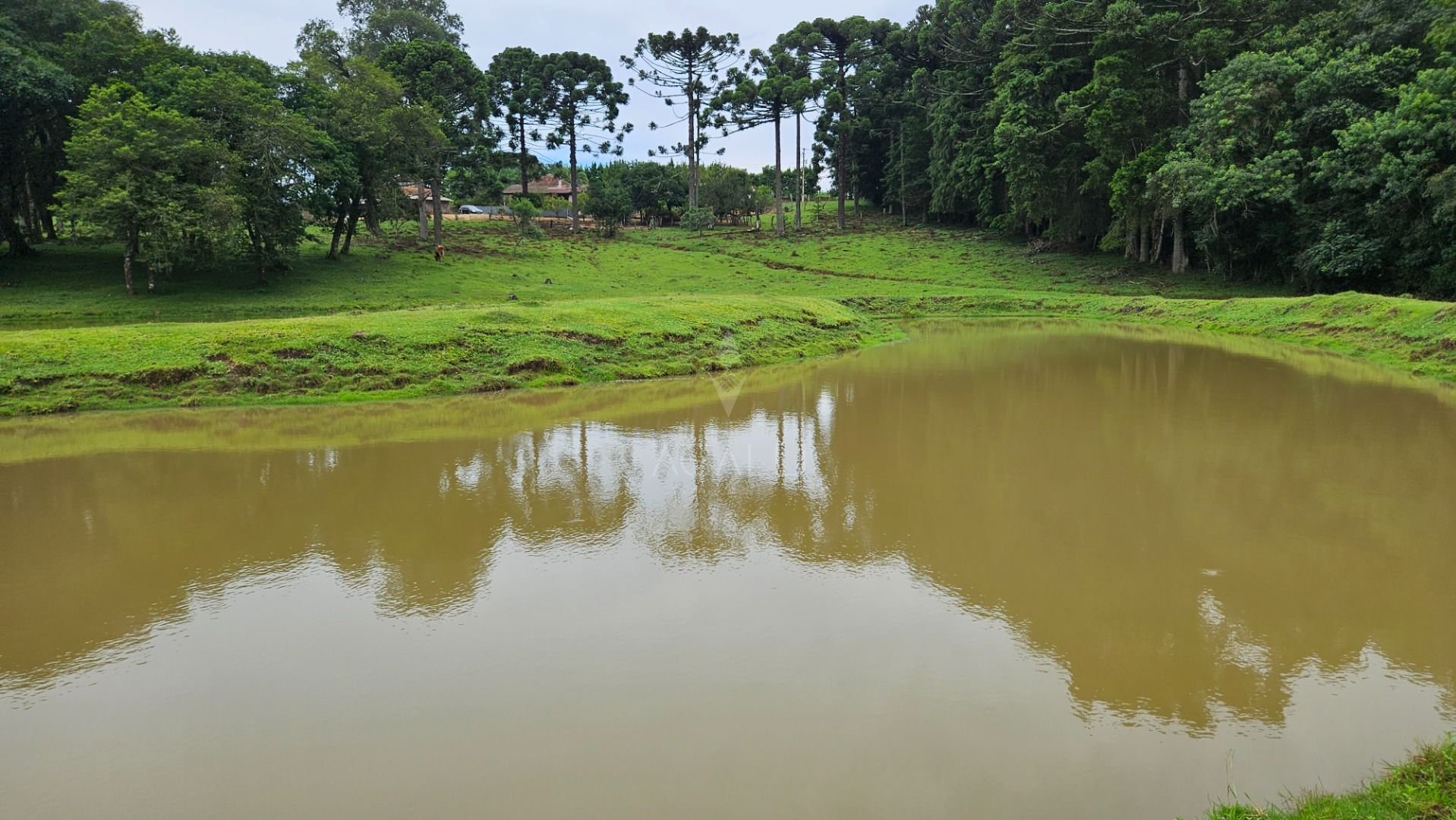 Chácara à venda, 254100 m  10 alqueires, por R  3.020.000,00 -...