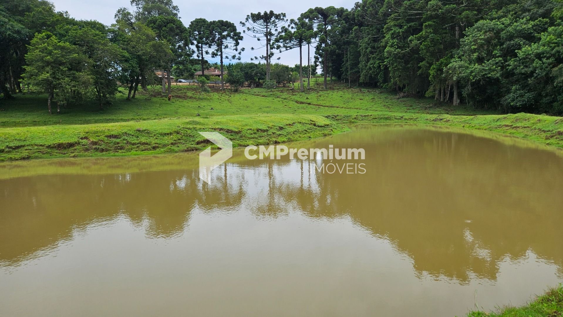 Chácara à venda, 254100 m  10 alqueires, por R  3.020.000,00 -...