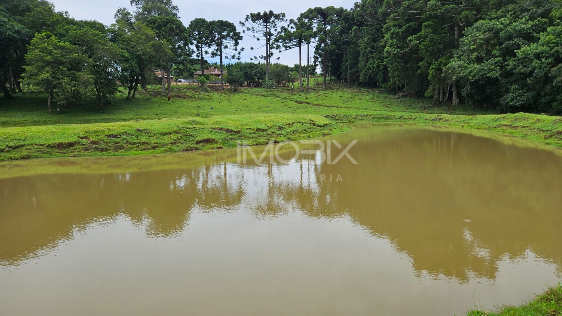 Chácara à venda, 254100 m  10 alqueires, por R  3.020.000,00 -...