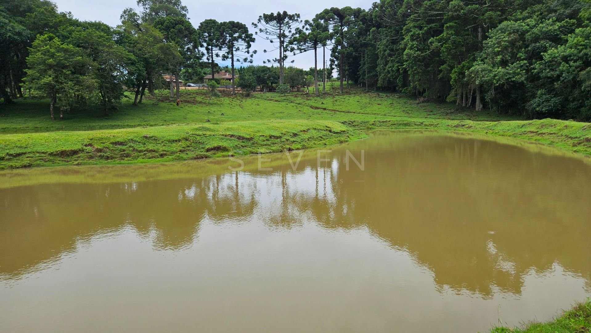 Oportunidade  Propriedade com 254.100m , área de plantio, laze...