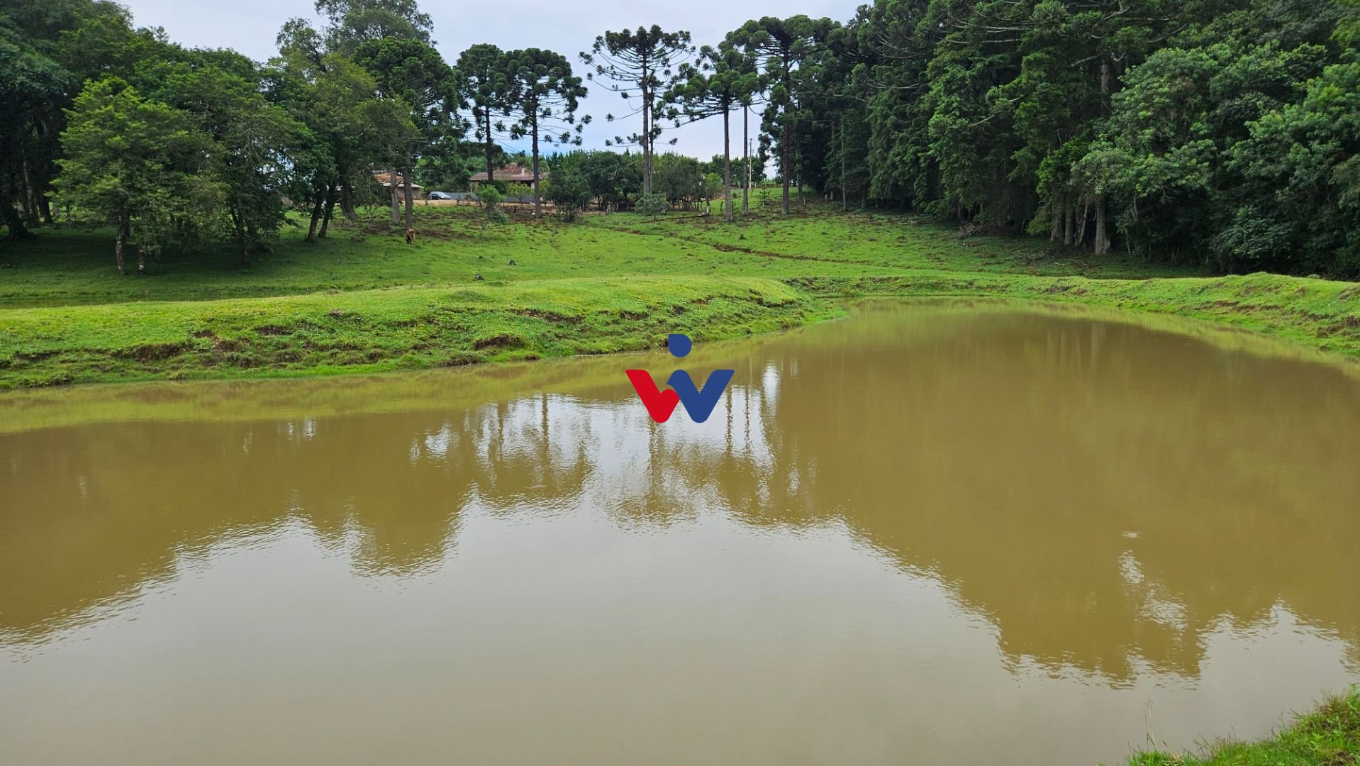 Chácara à venda, 254100 m  10 alqueires, por R  3.020.000,00 -...