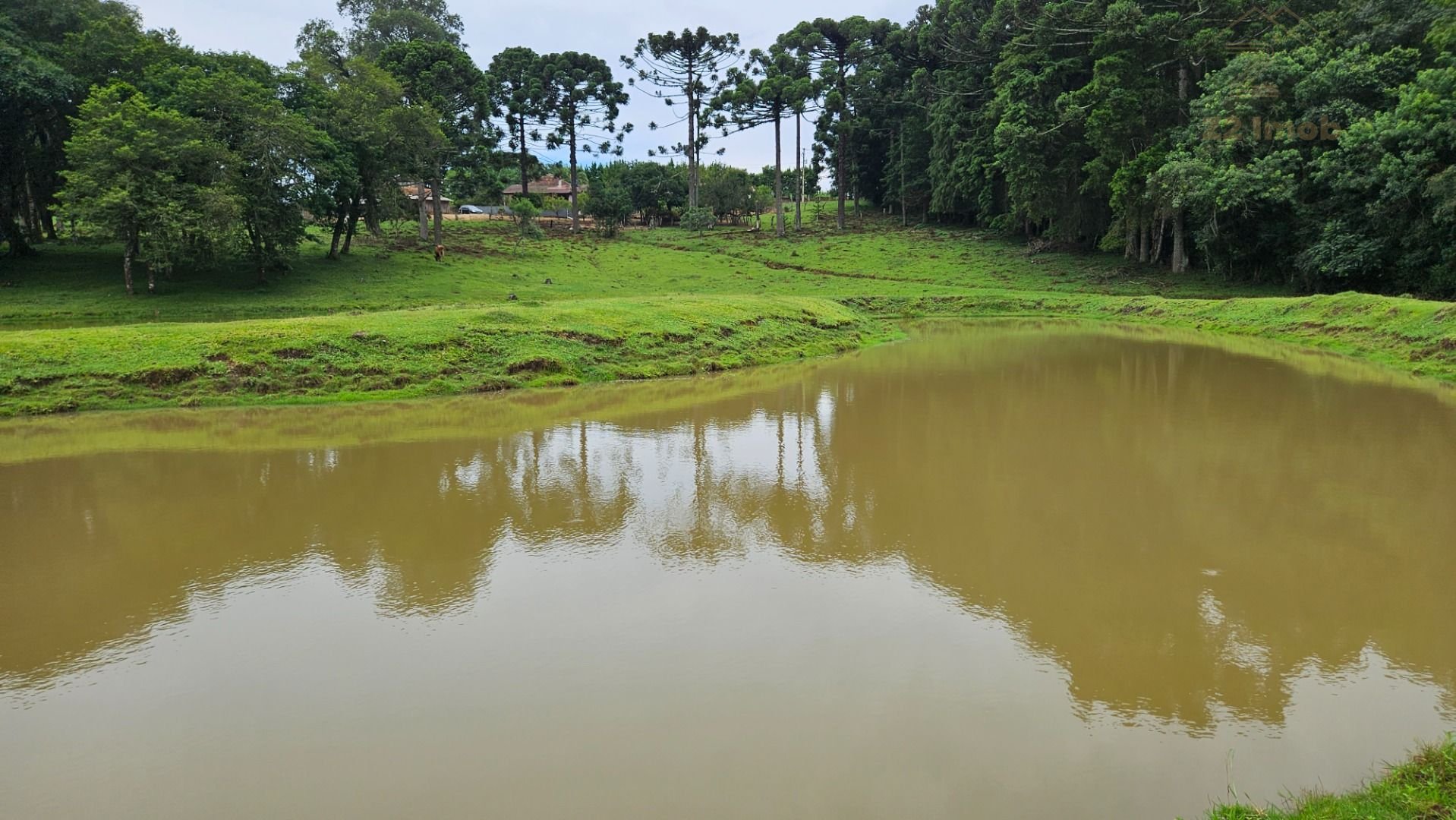 Chácara à venda, 254100 m  10 alqueires, por R  3.020.000,00 -...
