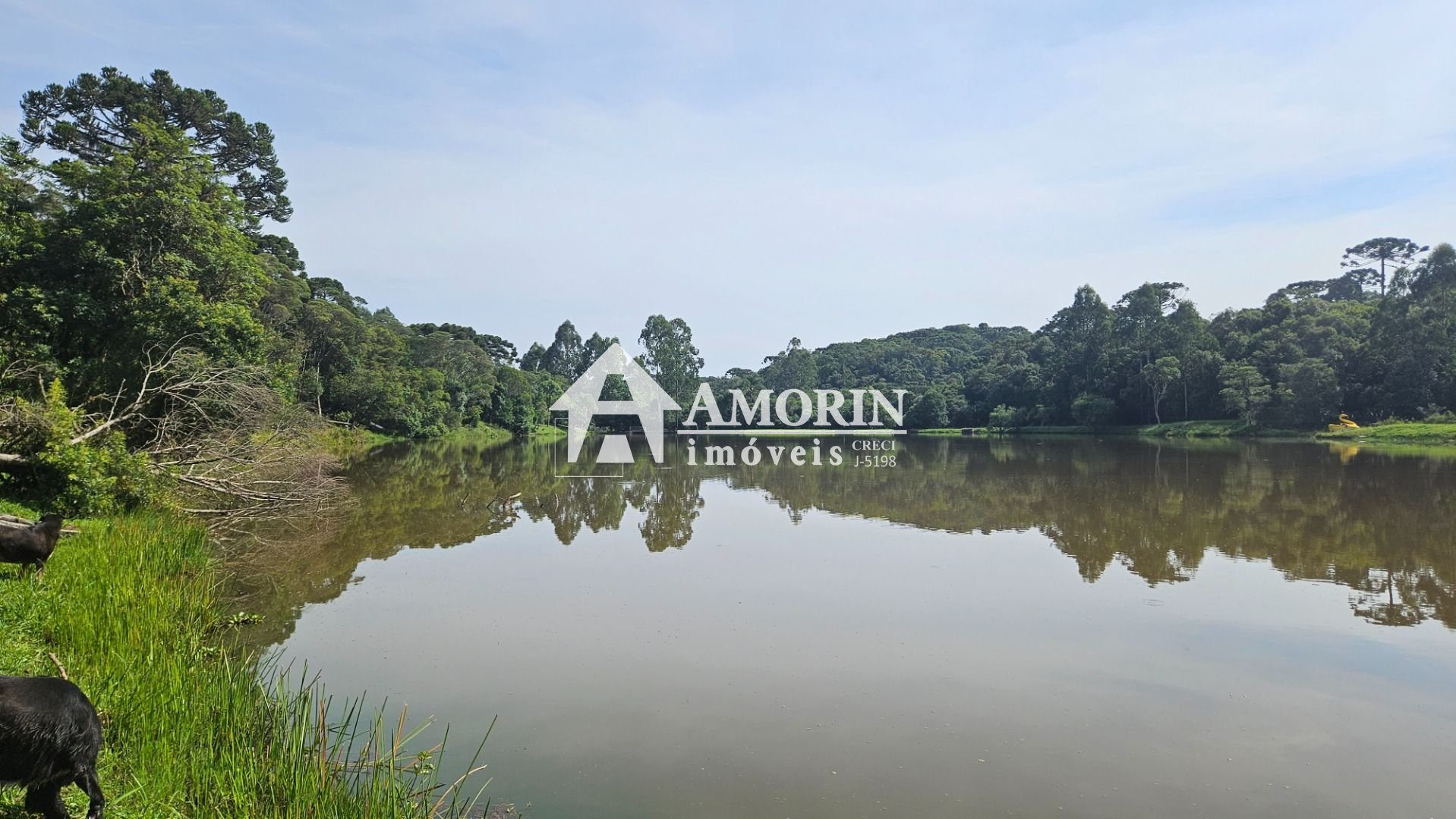 Chácara com 3 dormitórios à venda, 22454 m  por R  1.100.000,0...