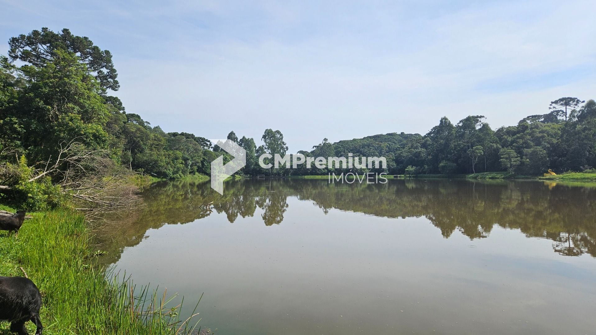 Chácara com 3 dormitórios à venda, 22454 m  por R  1.100.000,0...