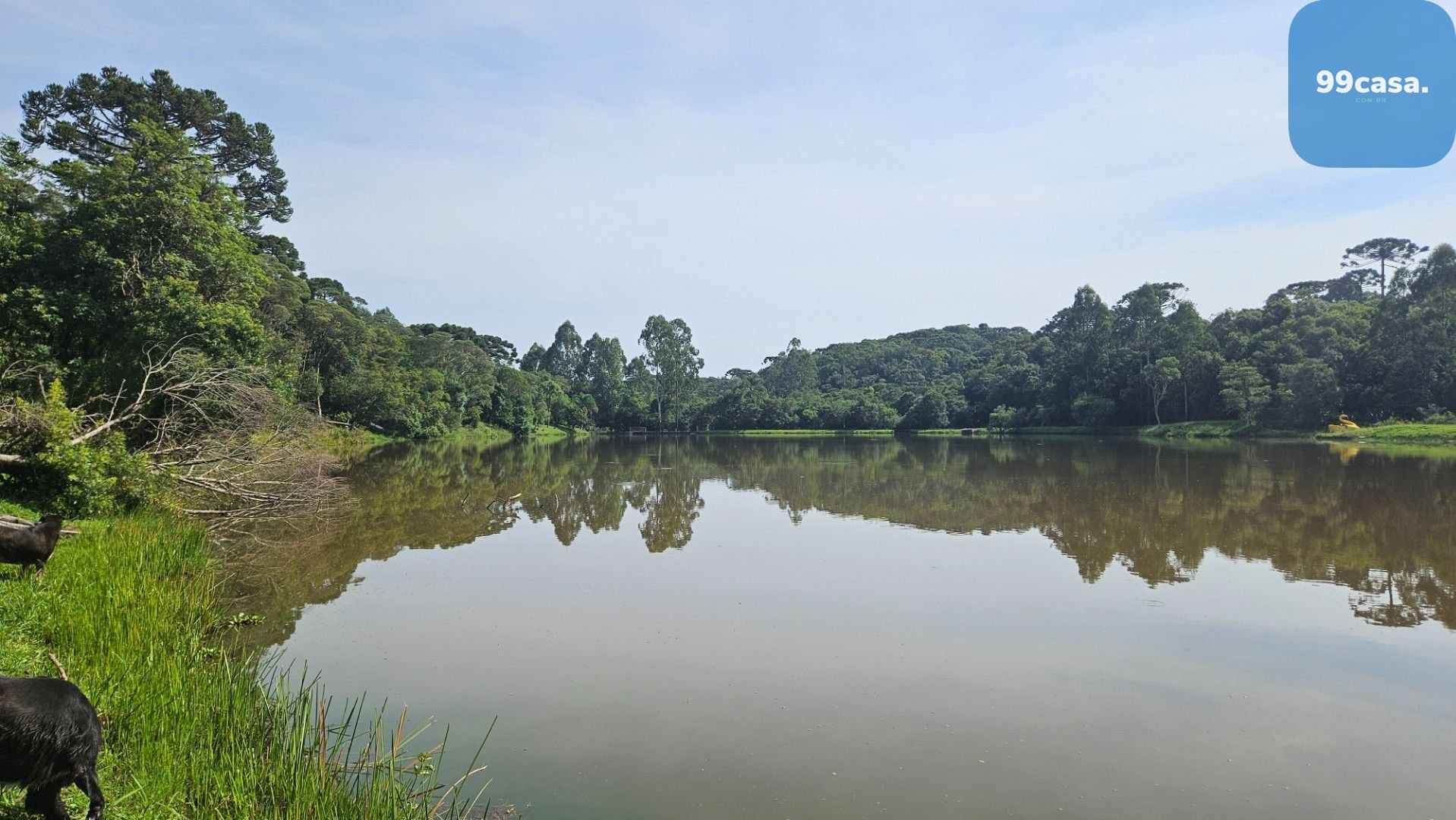 Chácara com 3 dormitórios à venda, 22454 m  por R  1.100.000,0...