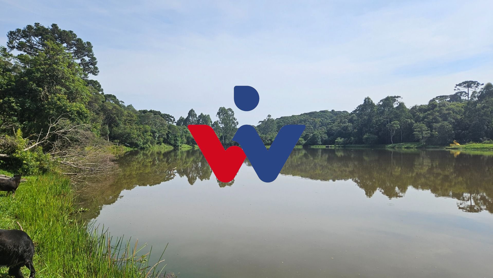 Chácara com 3 dormitórios à venda, 22454 m  por R  1.100.000,0...