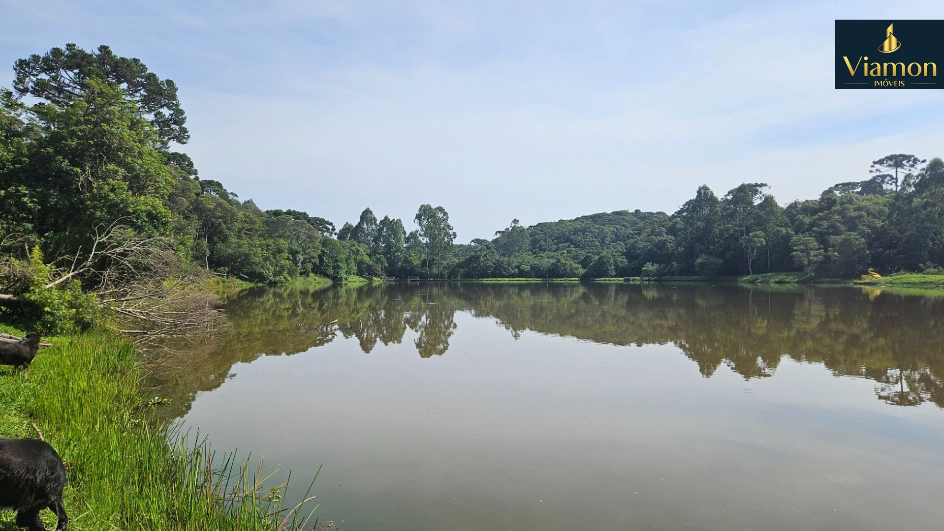 Chácara com 3 dormitórios à venda, 22454 m  por R  1.100.000,0...