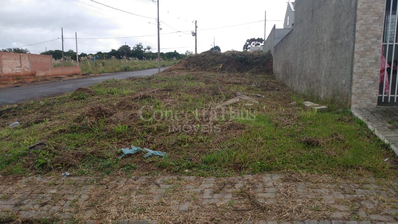 Terreno 180m  à venda em área alta com fácil acesso a Curitiba...