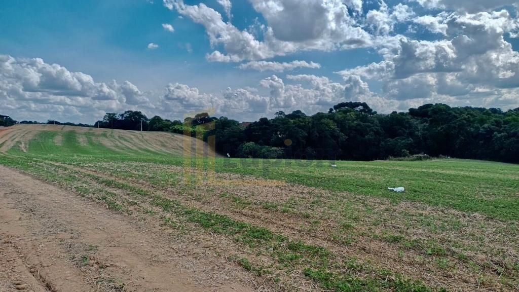 Chácara Lagoa Suja Araucária  Natureza, Tranquilidade e Acesso...