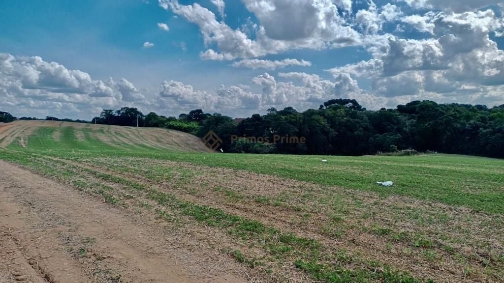 Ch?cara ? venda, 23606 m  por R  660.000,00 - Zona Rural - Ara...