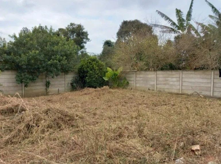 Lote Plano e Murado de 15x50m no Atuba  Pronto para Construir