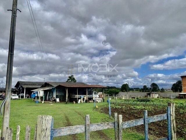 Barracão à venda, 500 m  por R  2.200.000,00 - Colônia Murici ...
