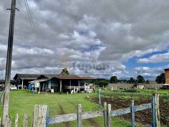 Propriedade Comercial 6.000m  com Barracão 500m  e Casa  Locaç...