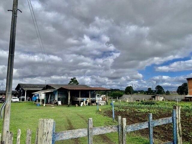 Propriedade Comercial 6.000m  com Barracão 500m  e Casa  Locaç...
