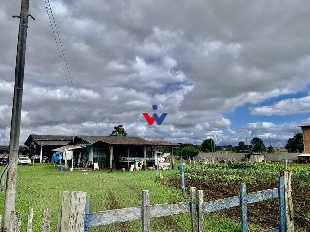 Barracão à venda, 500 m  por R  2.200.000,00 - Colônia Murici ...