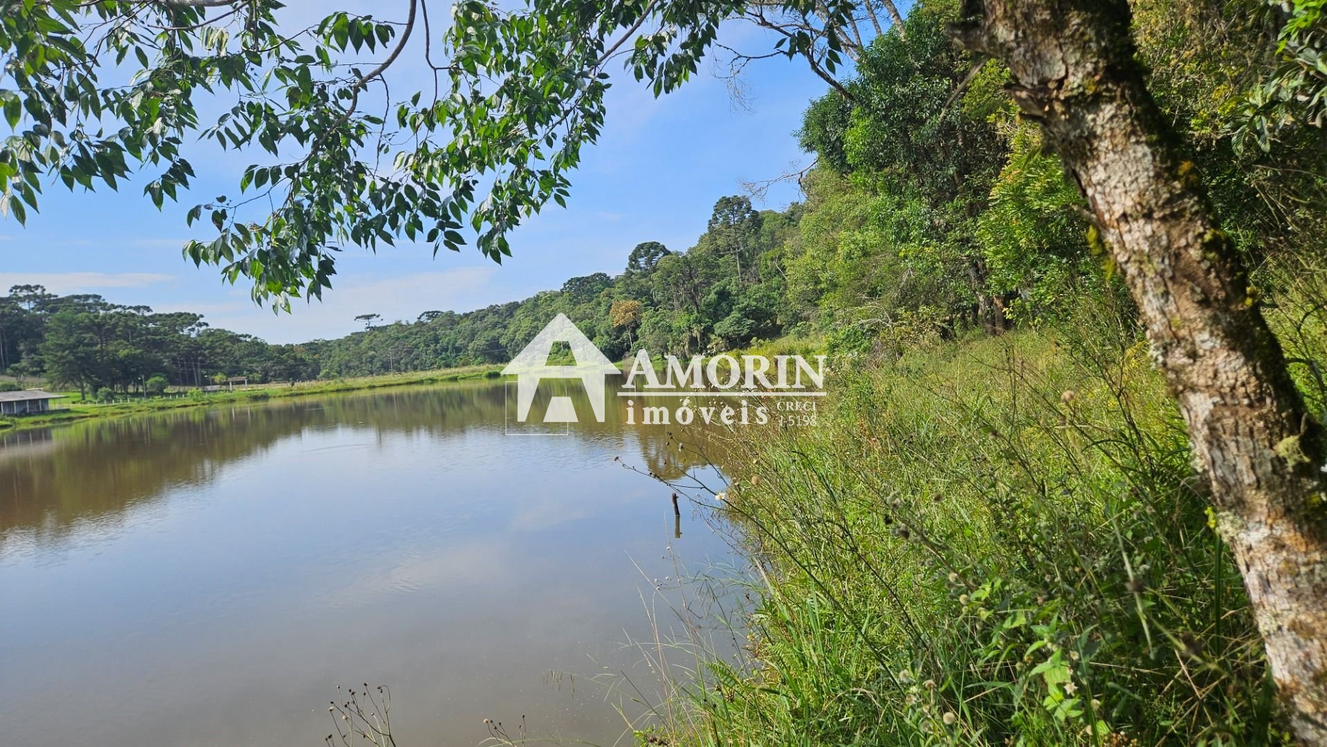 Chácara com 3 dormitórios à venda, 22454 m  por R  1.100.000,0...