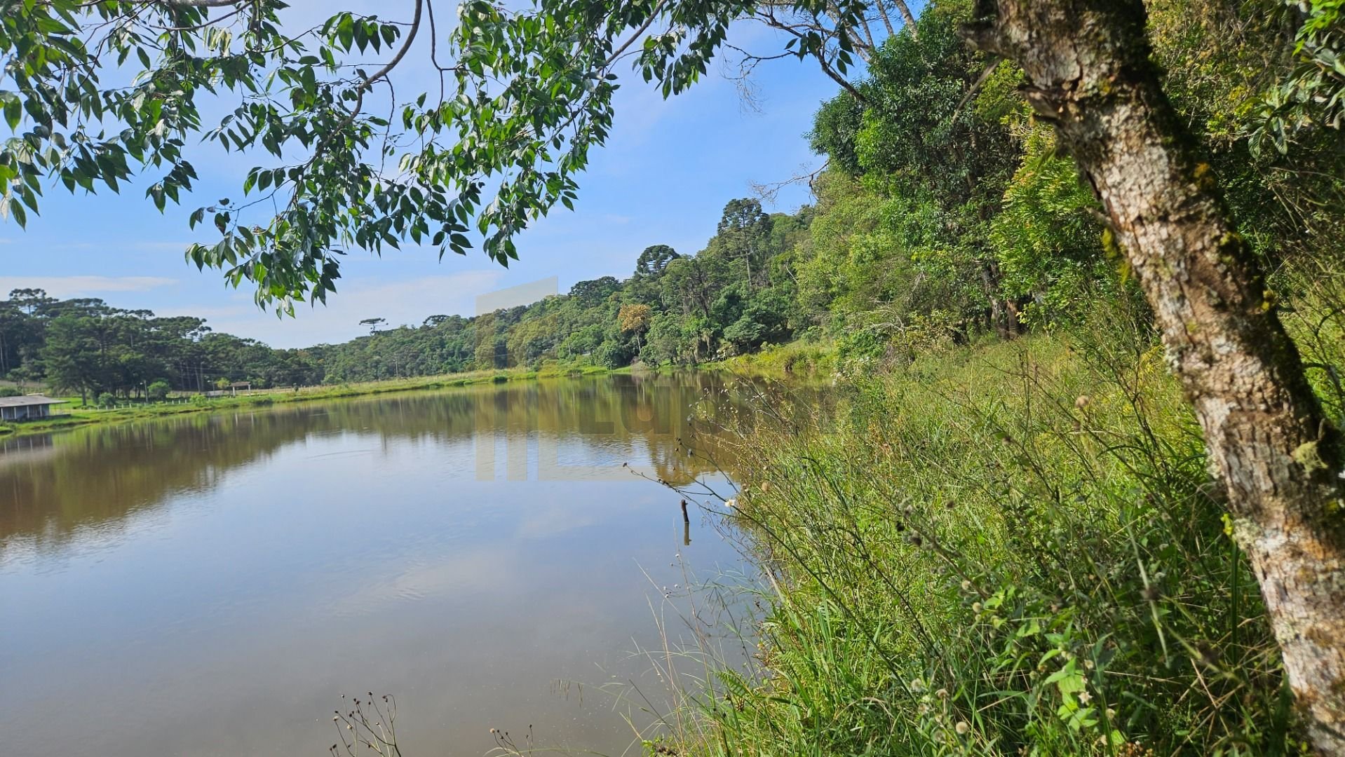 Chácara com 3 dormitórios à venda, 22454 m  por R  1.100.000,0...