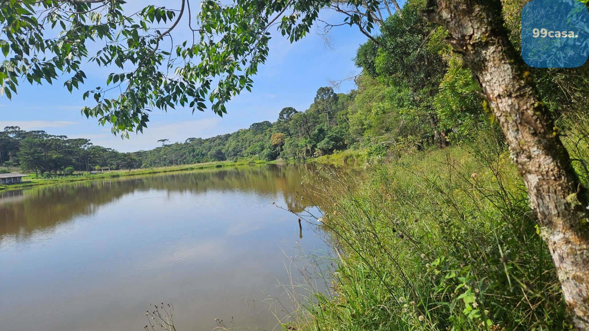 Chácara com 3 dormitórios à venda, 22454 m  por R  1.100.000,0...