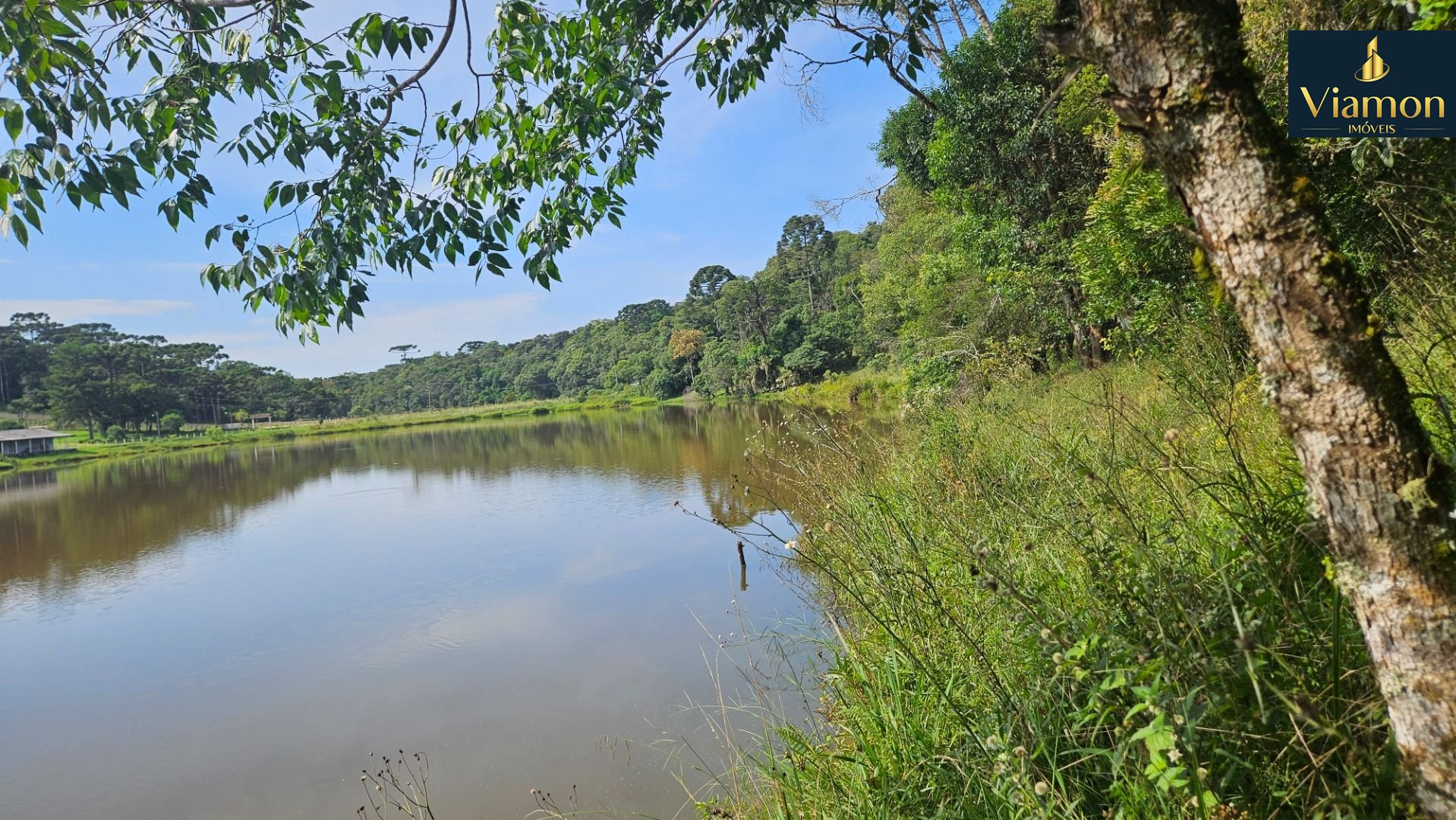 Chácara com 3 dormitórios à venda, 22454 m  por R  1.100.000,0...