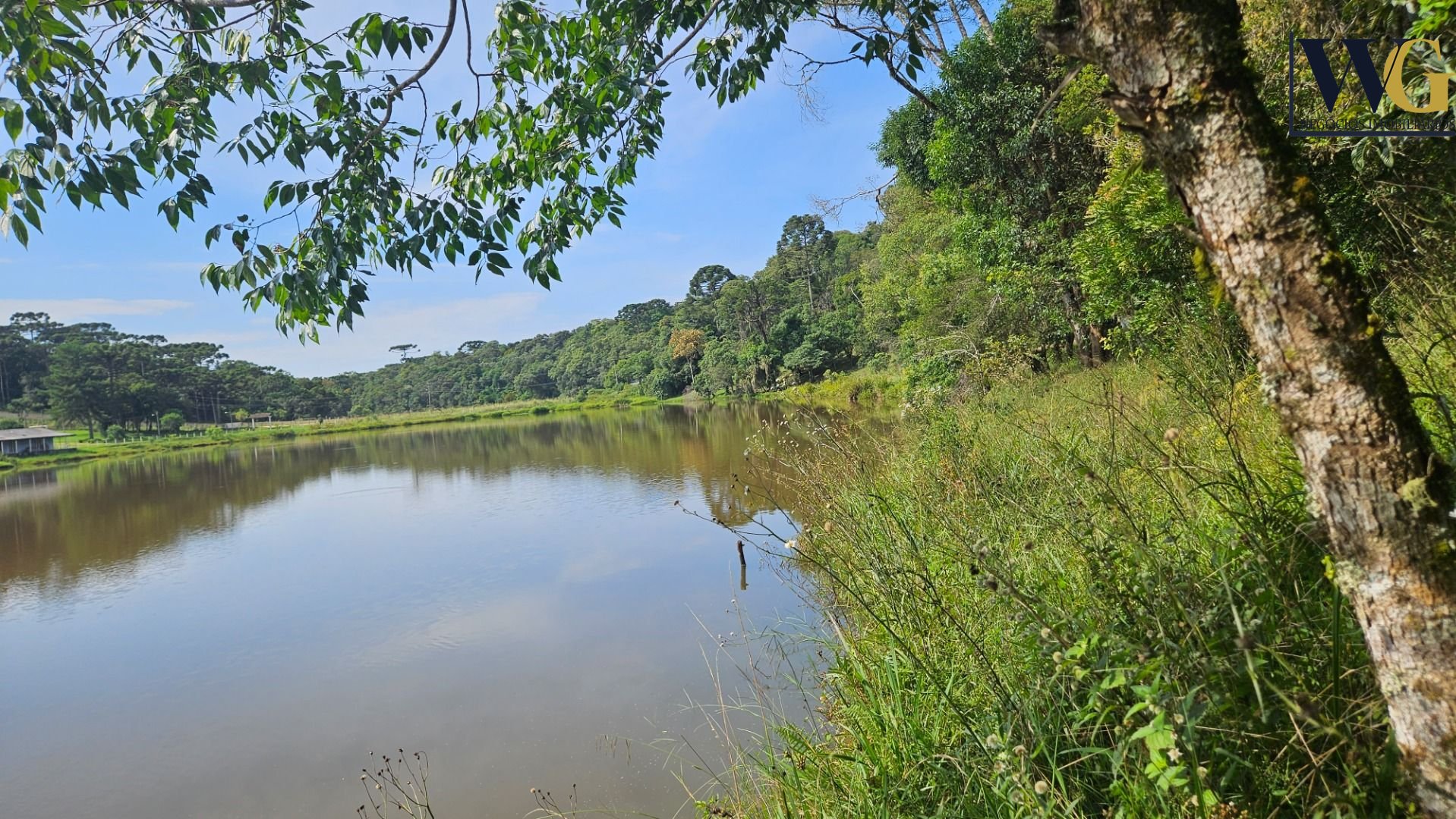 Chácara com 3 dormitórios à venda, 22454 m  por R  1.100.000,0...