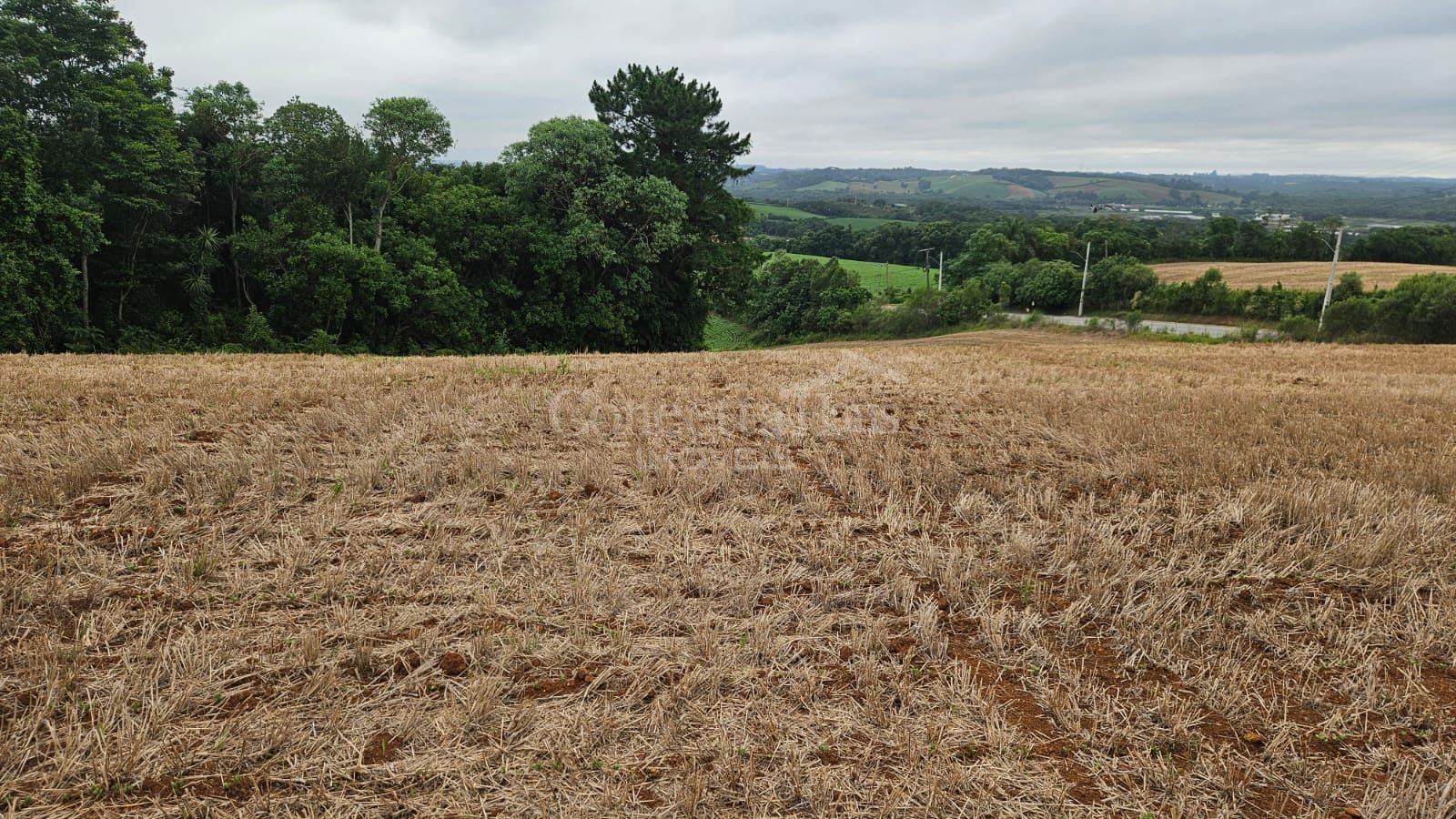 Terreno de 84.700 m  em Araucária  Ideal para loteamento ou co...