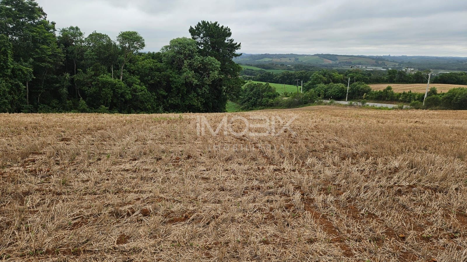 Terreno à venda, 84700 m² por R$ 3.500.000,00 - Guajuvira - Ar...