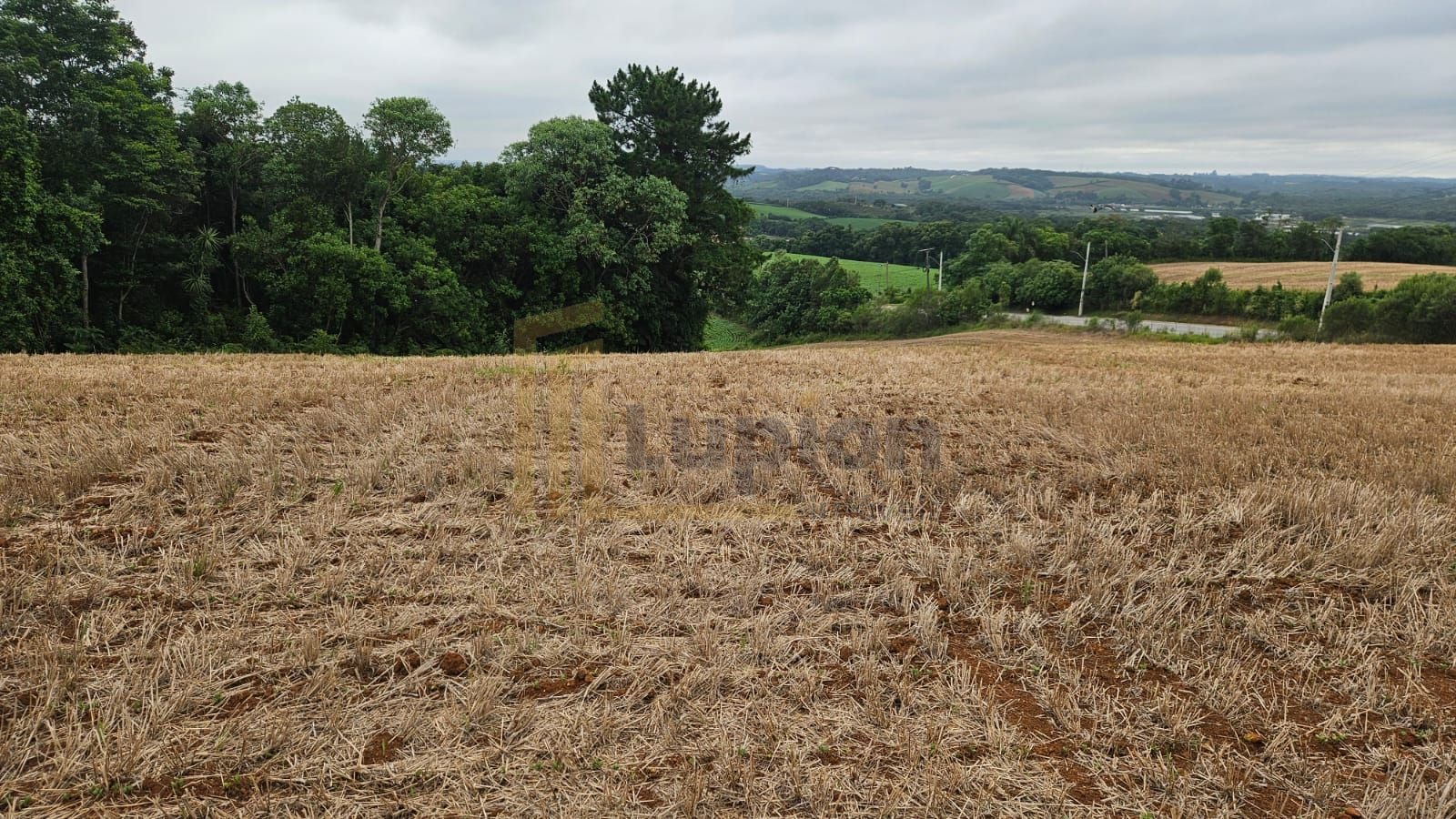 Terreno à venda, 84700 m² por R$ 3.500.000,00 - Guajuvira - Ar...