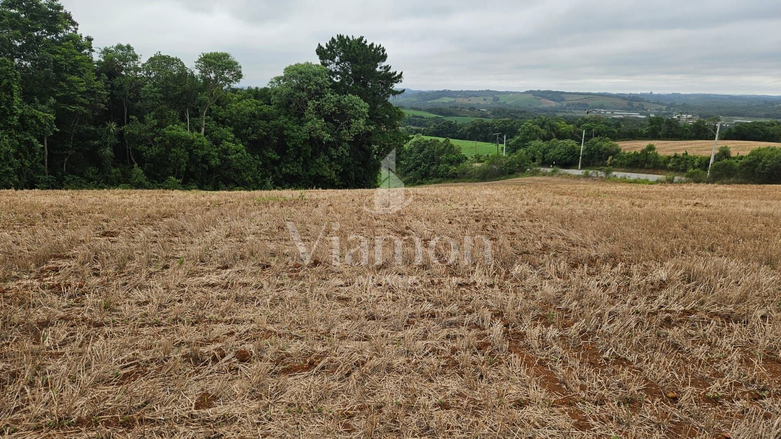 Terreno à venda, 84700 m² por R$ 3.500.000,00 - Guajuvira - Ar...