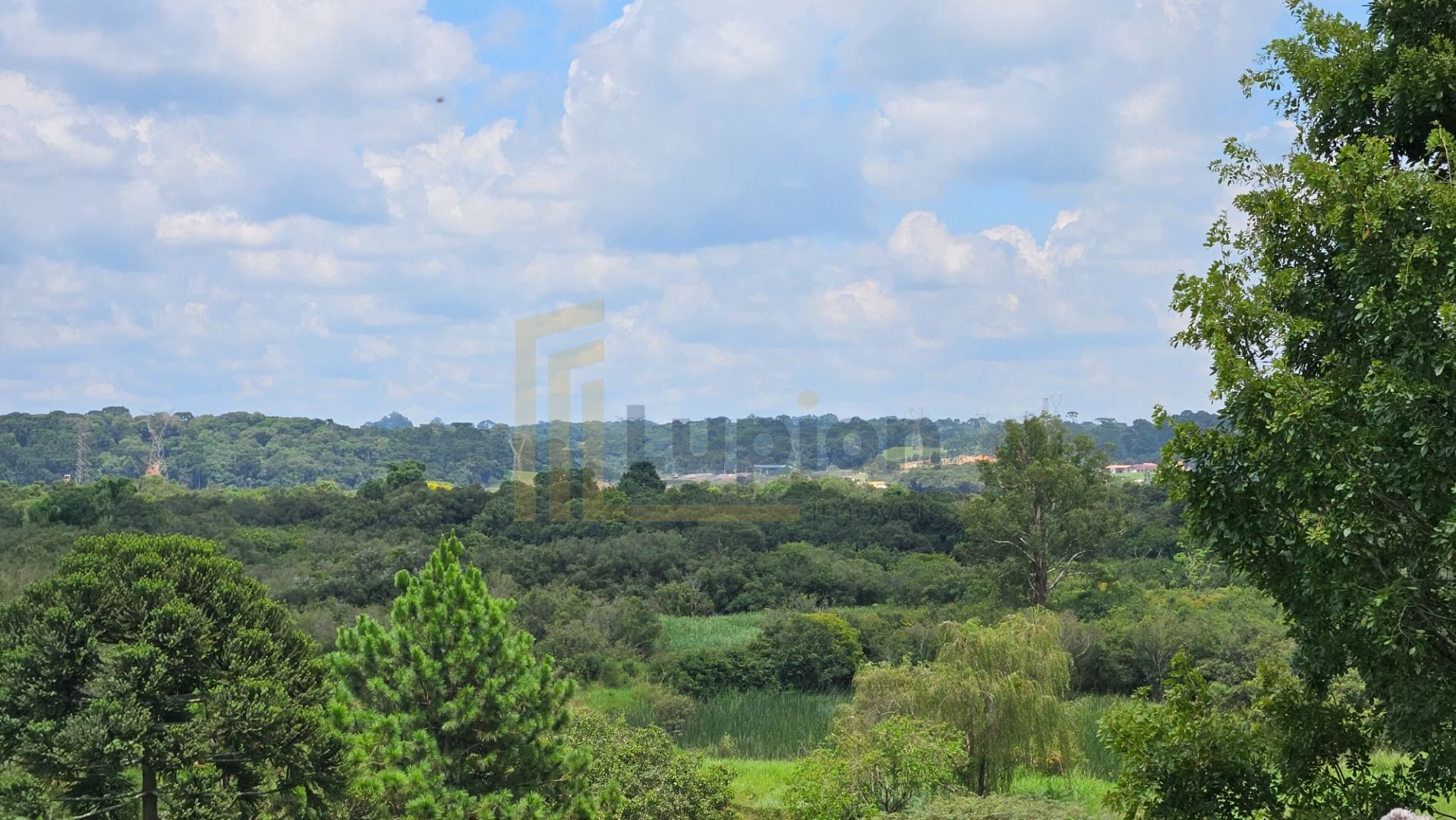 Área Exclusiva de 36.000 m  Próxima ao Centro de Araucária  Na...