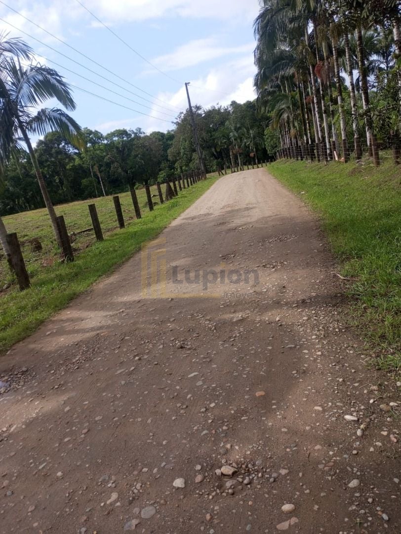 Área Rural à Venda em Guaraqueçaba  33.200 ha de Natureza e Re...