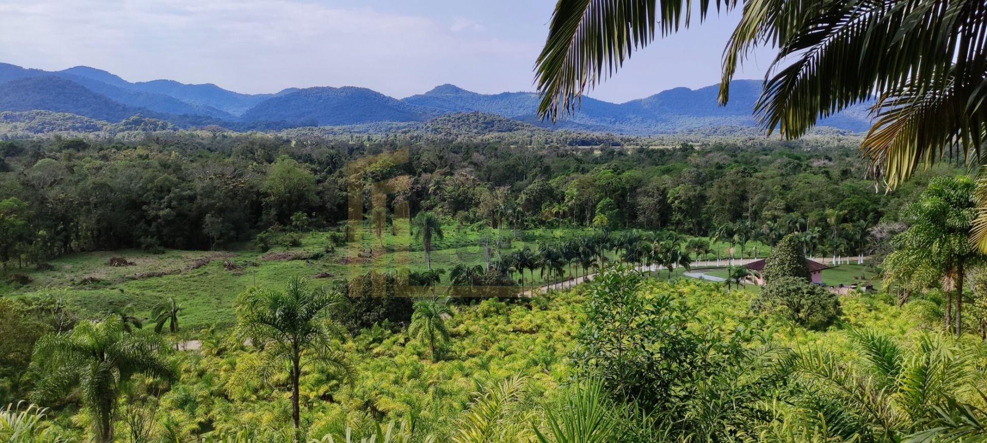 Área Rural à Venda em Guaraqueçaba  33.200 ha de Natureza e Re...