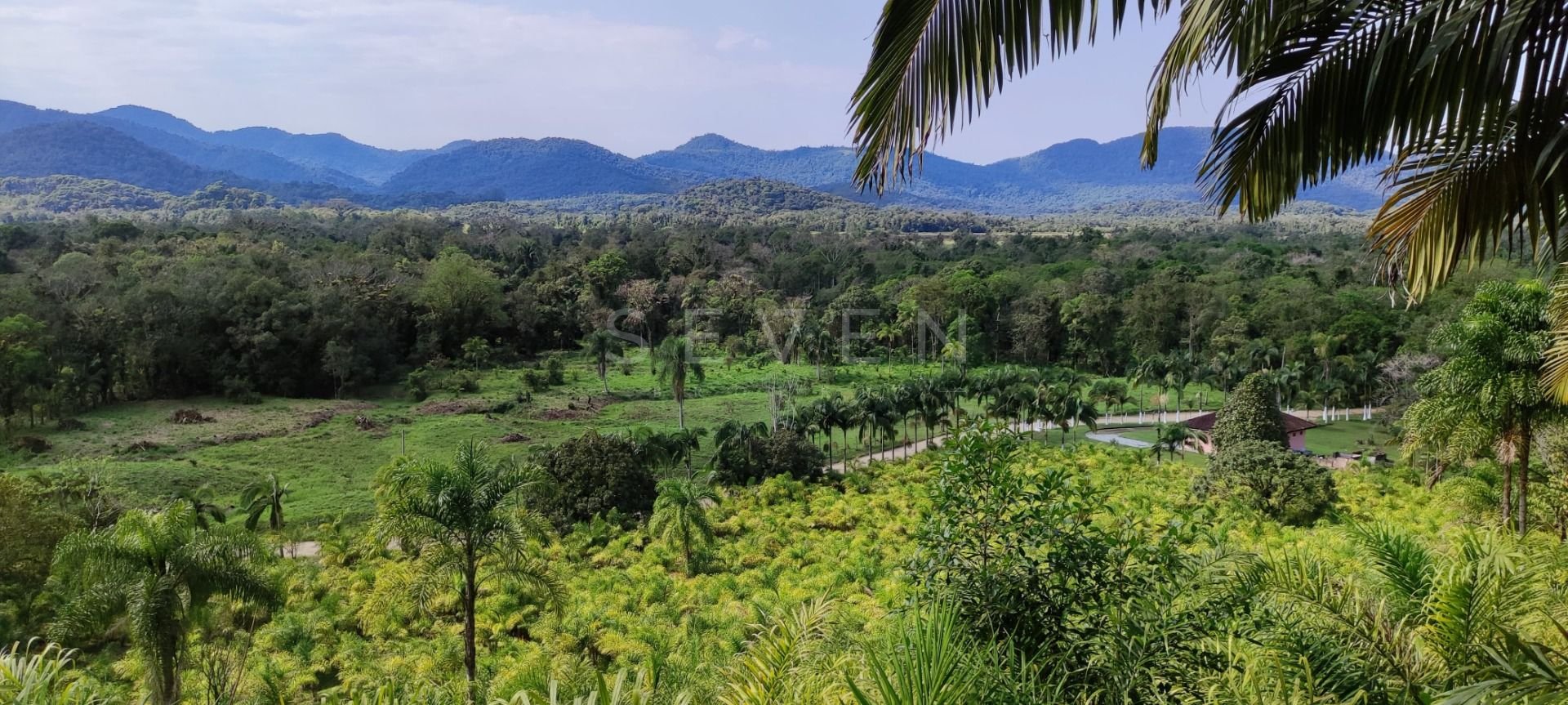 Área Rural à Venda em Guaraqueçaba  38,80 ha, 14 alqueires de ...
