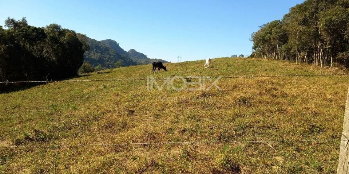 chácara à venda, 23700 m  por R  350.000,00 - Ferrari - Campo ...