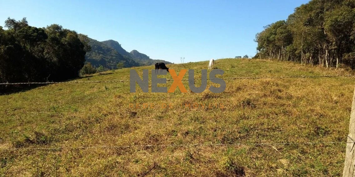 chácara à venda, 23700 m  por R  350.000,00 - Ferrari - Campo ...