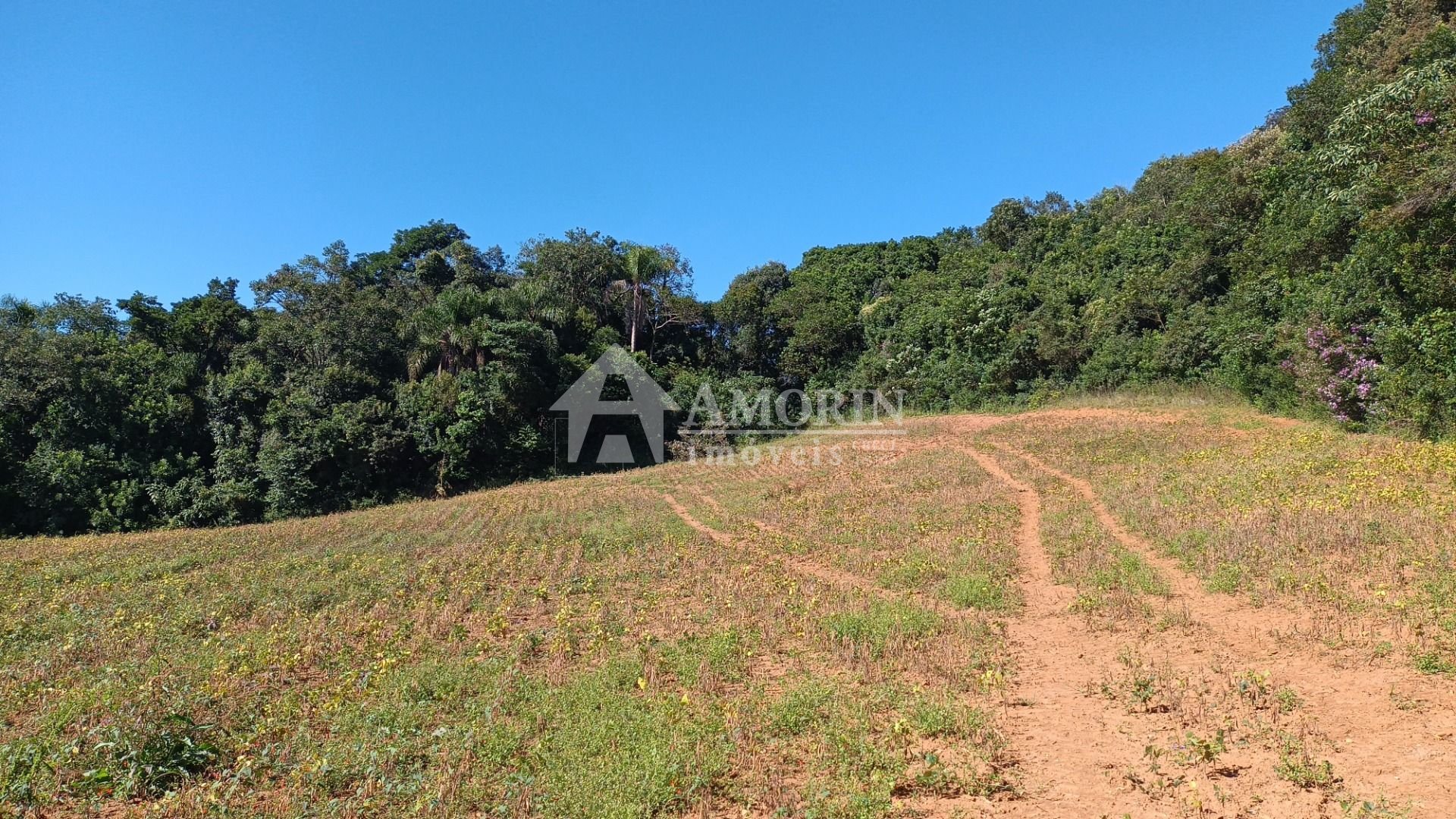 Chácara à venda, 23482 m  por R  500.000,00 - Zona Rural - Ara...