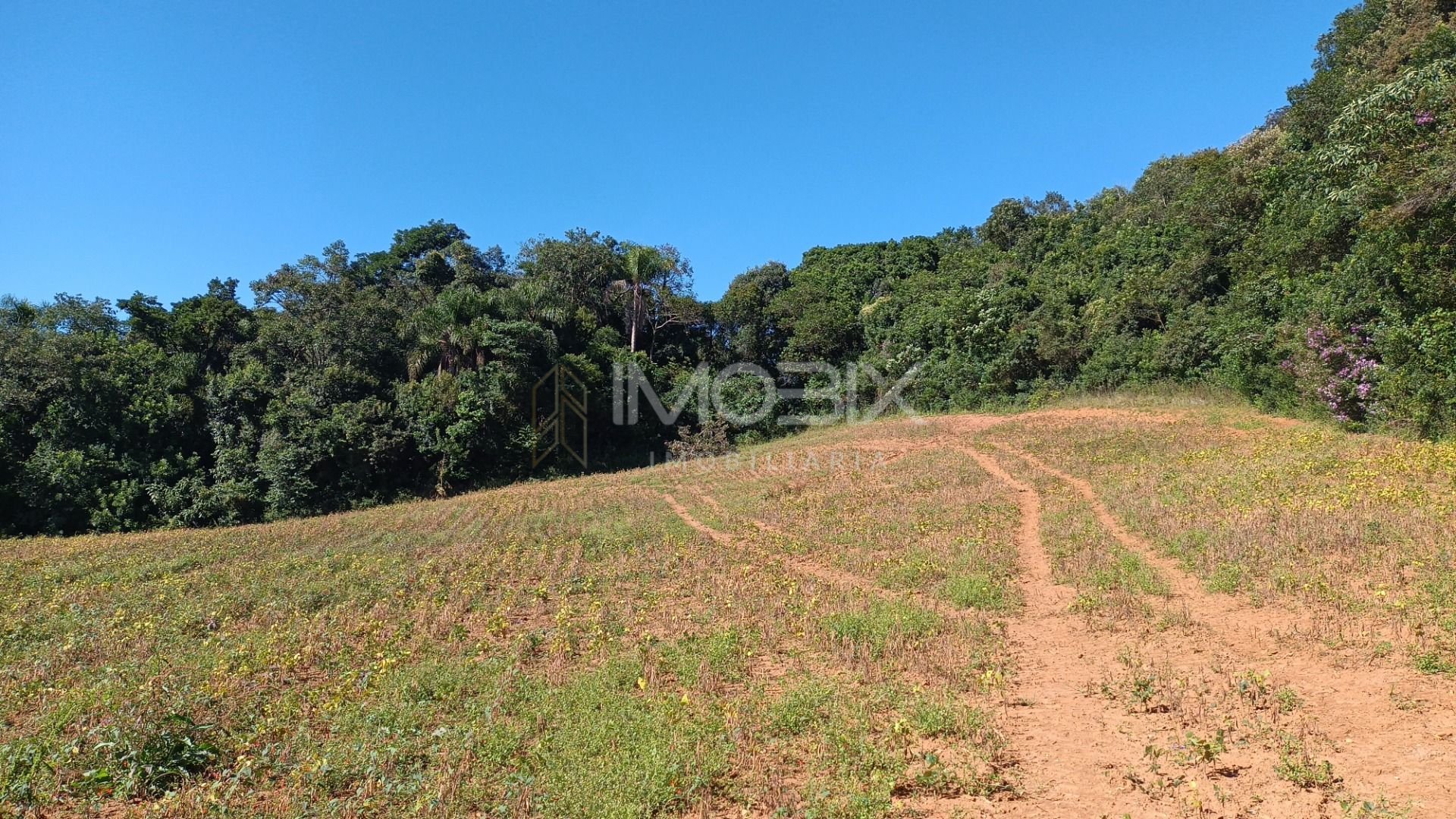 Chácara à venda, 23482 m  por R  500.000,00 - Zona Rural - Ara...