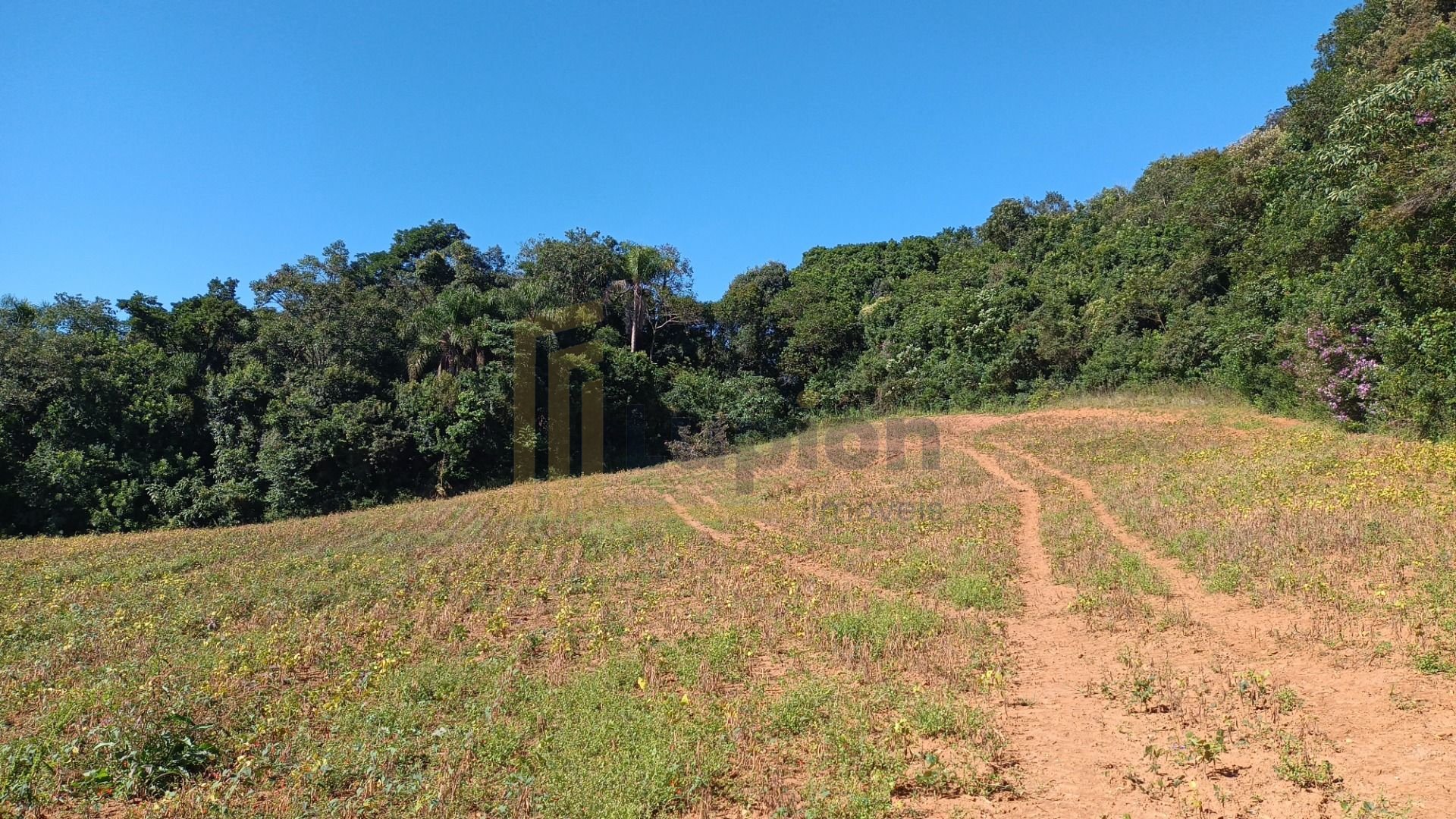 Chácara à Venda em Araucária  Terreno de 23.480 m  com Naturez...