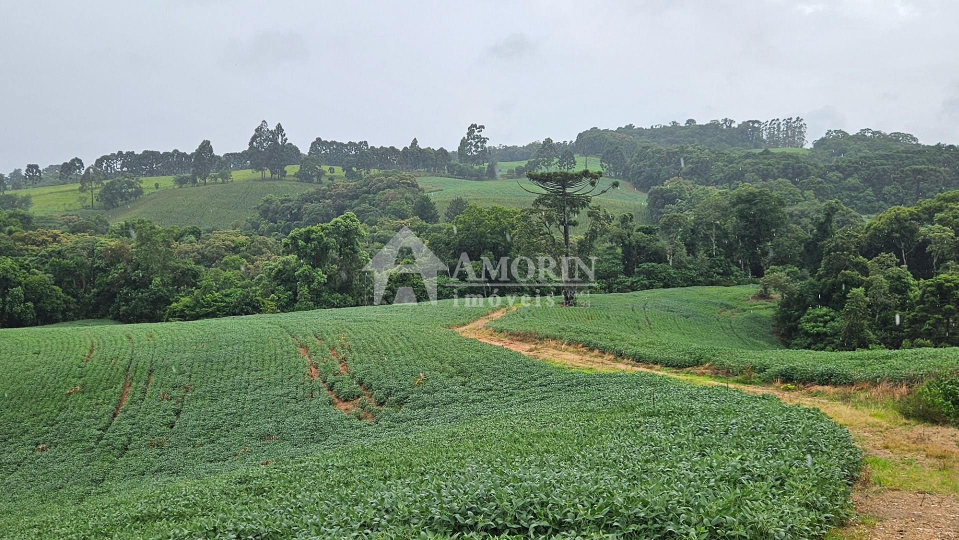 Chácara à venda, 79000 m  por R  1.230.000  - Preço abaixo do ...